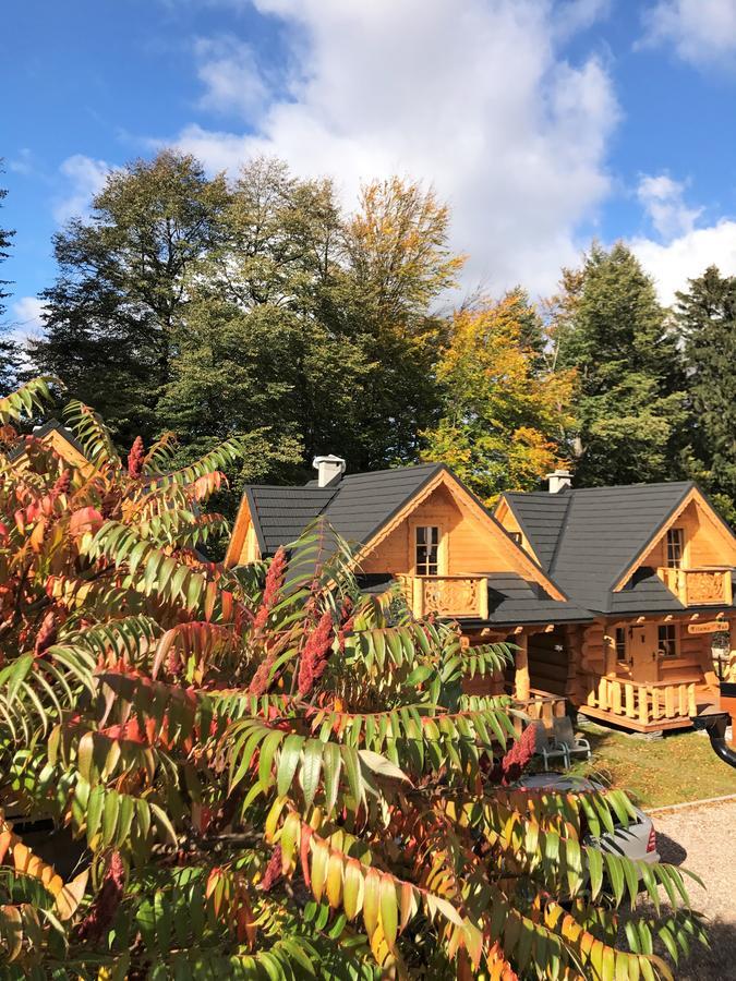 Goralska Osada Karpacz - Domki Lux Ngoại thất bức ảnh